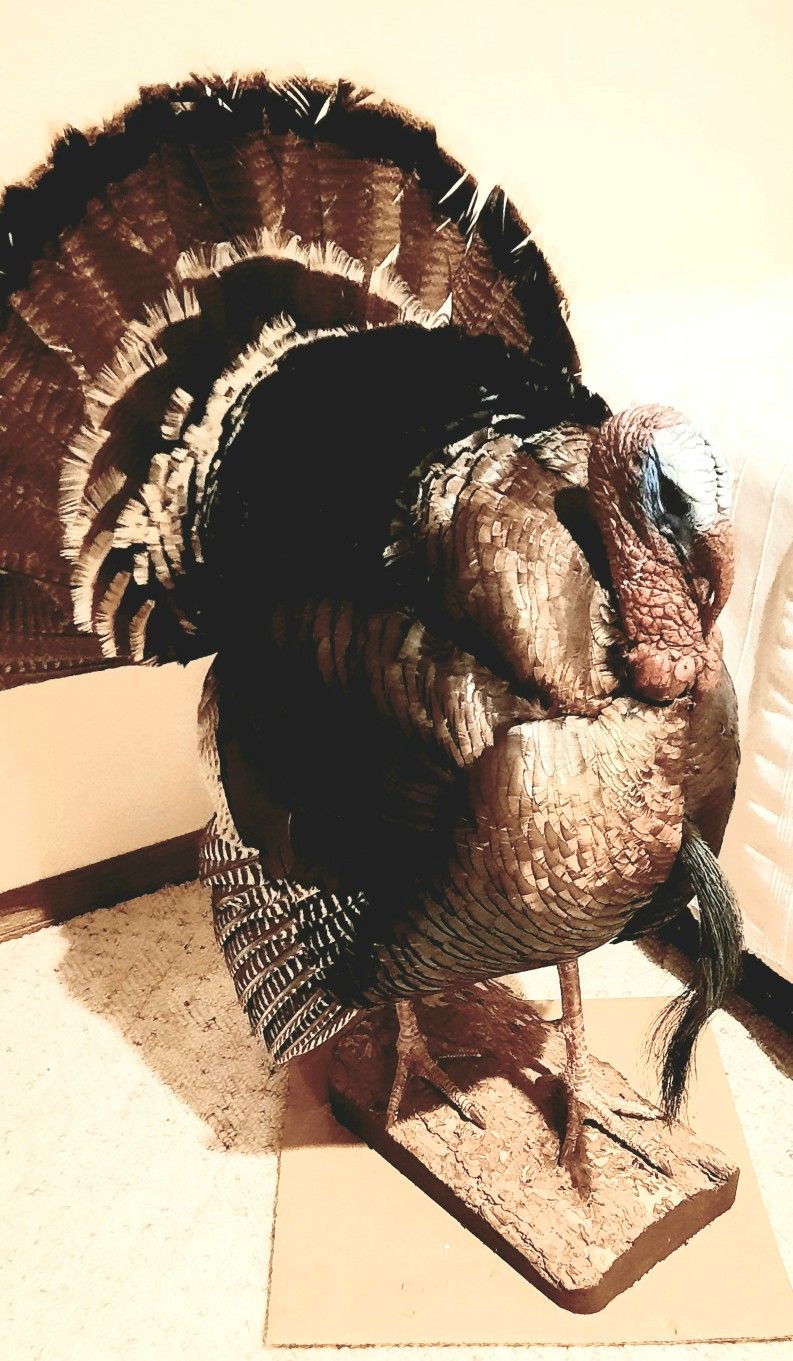 Turkey Mounts