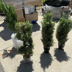 Outdoor Artificial Plants
