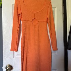 New/Xs 