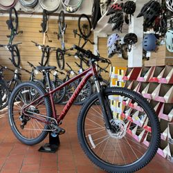 Mountain Bike