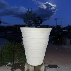 New Flower Pot 