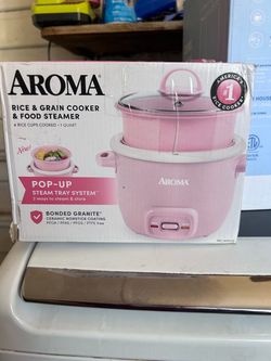 Mini rice cooker