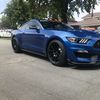GT350 Greg 