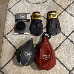Speed Bags and Vintage Everlast Gloves