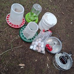 Chicken supplies
