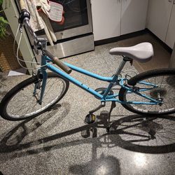 Guardian Used Bike (Kid/Teen)