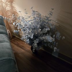 Light aquarium equliptess flowers