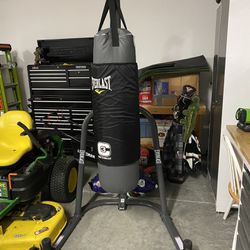 Punching Bag, Stand, Gloves