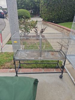 Bird Cage