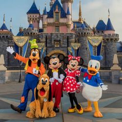 Disneyland Tickets For 06/16