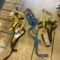 3 Safety  Harness  