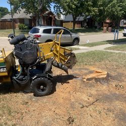 STUMP GRINDING
