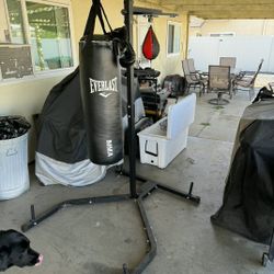 Everlasting Punching Bad / Speed Bag Combo With Stand