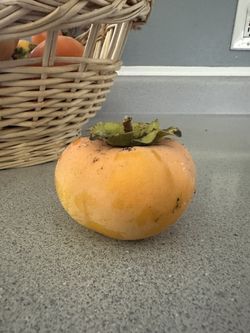Persimmons 