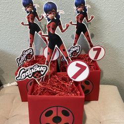 Miraculous Lady Bug Party 