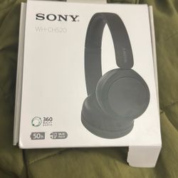 Sony  Wh-ch520