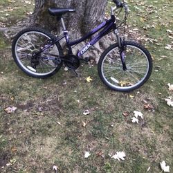 24” Mountain Bike 