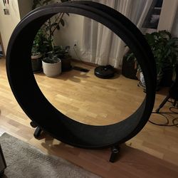 Cat Wheel