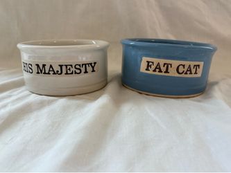 Cat food bowl set