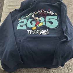 Disneyland sweatshirt 2025 logo