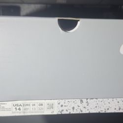 Jordan 5 Retro wolf gray Size 14