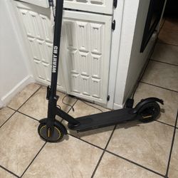 Electric Scooter 