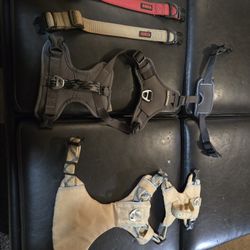 Small Dog/Puppy Arcadia Trail Harnesses And Kong Collars