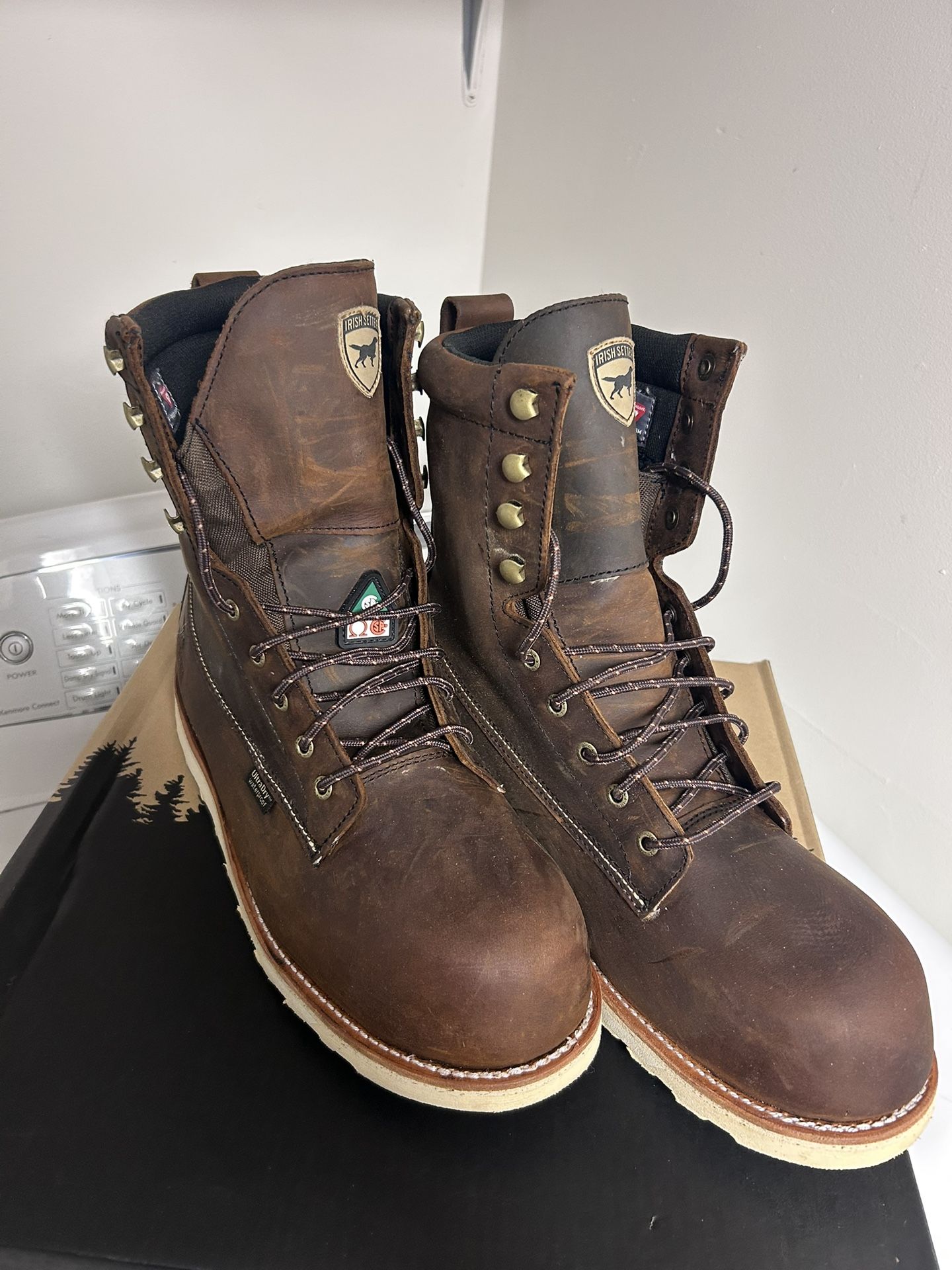 Red Wings Irish Settlers