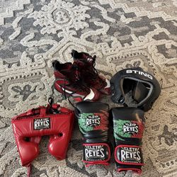 Cleto Reyes, sting, Nike hyper ko,