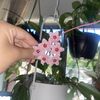 Planty Things