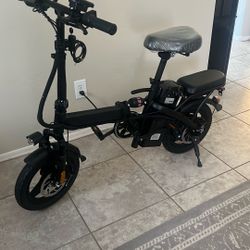 Electric Folding Bike