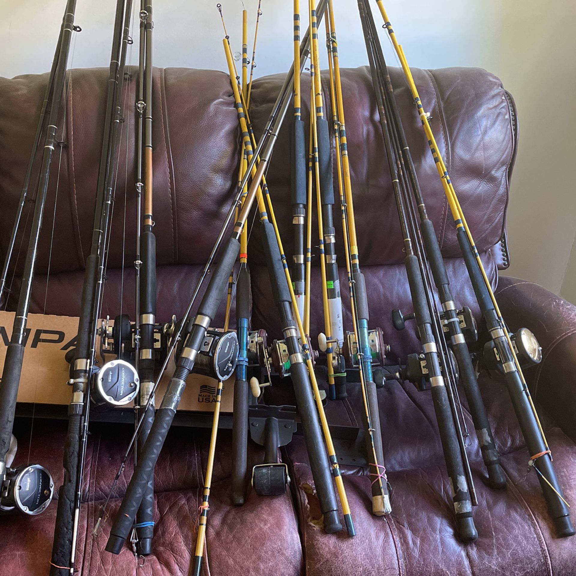Fishing Rod And Reels