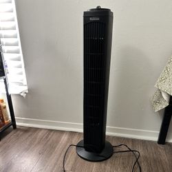 Room Fan