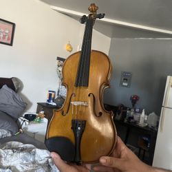 Stentor Violin