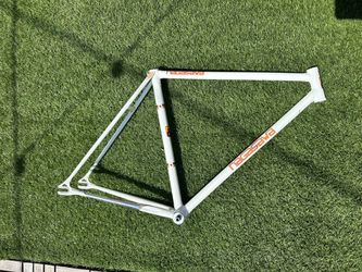 Rare Nagasawa NJS frame