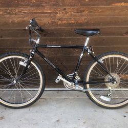 Miyata Bicycle, 18” Frame