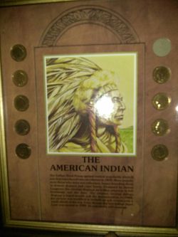 The american indian head collection