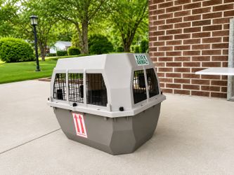 Pet Travel Carrier