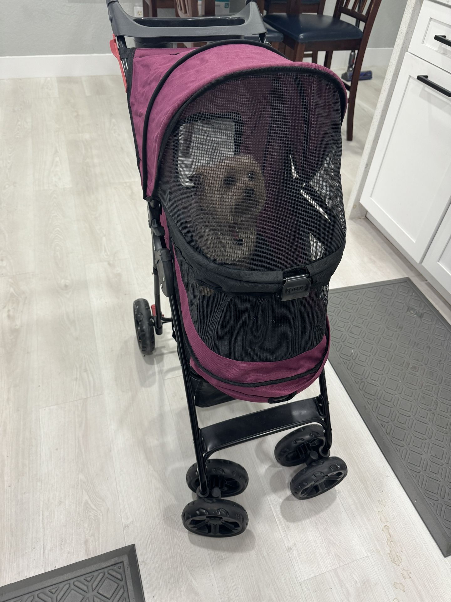 Dog Stroller