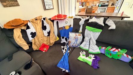 Toy Story Costumes whole family