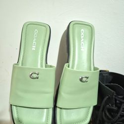 Coach Slides Pistachio Color
