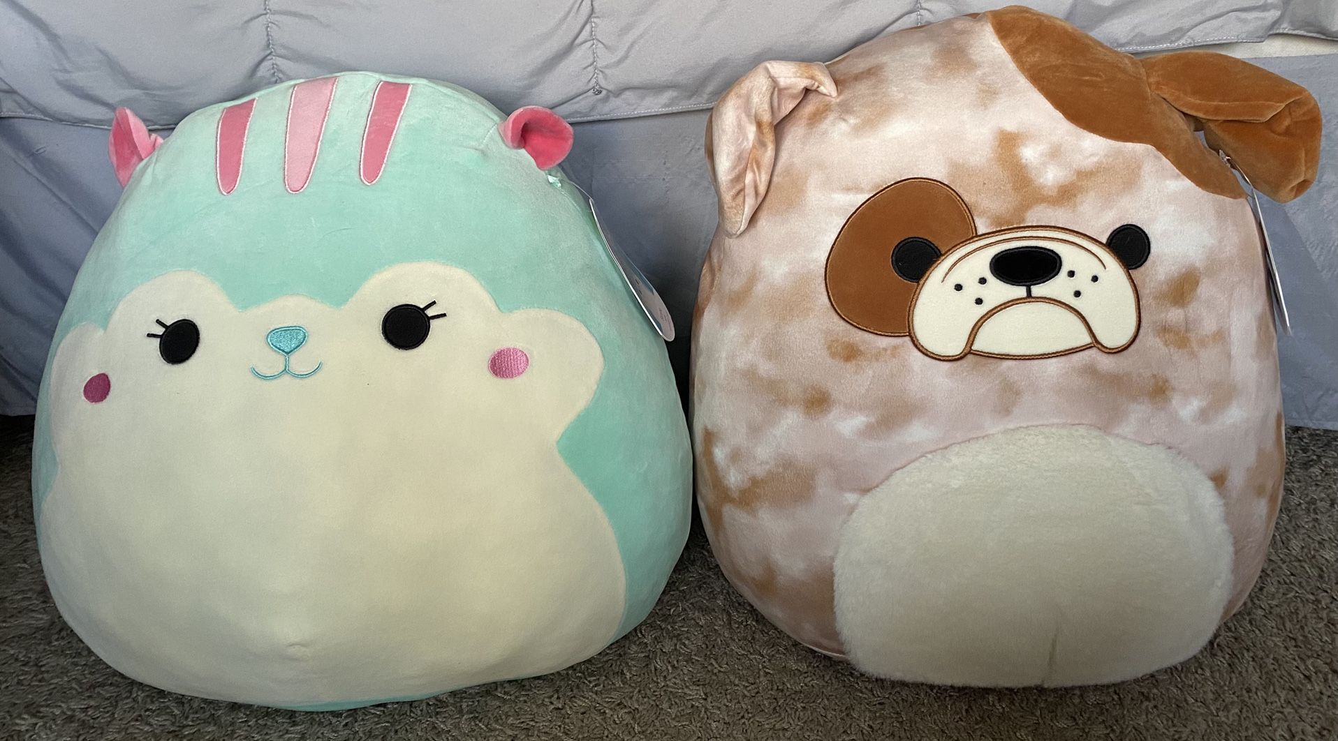 Dog Squishmallows 20 Inch High 2 Plushies