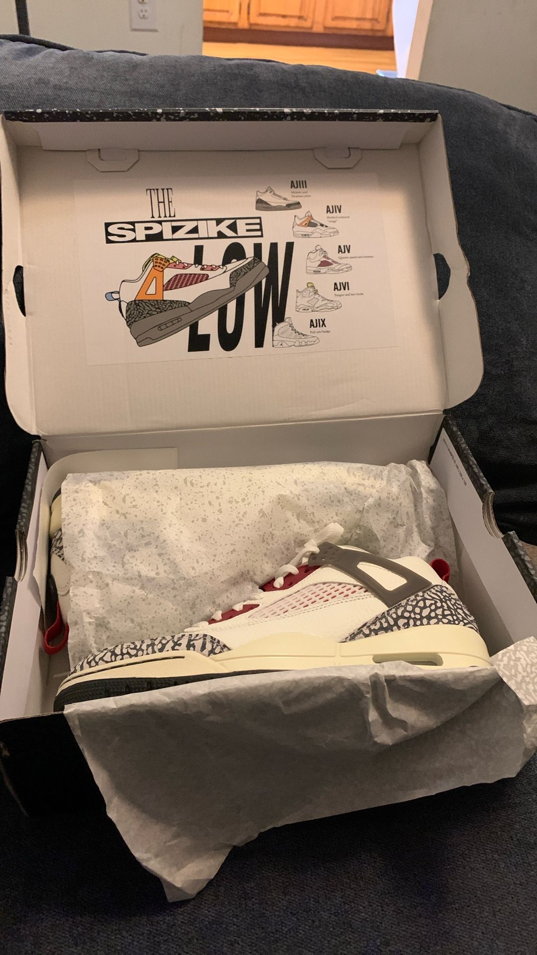 Jordan Spizike Low