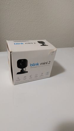Blink mini 2