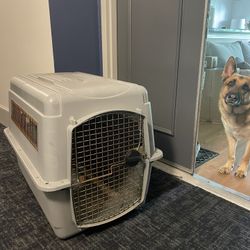 Dog Crate / Kennel 