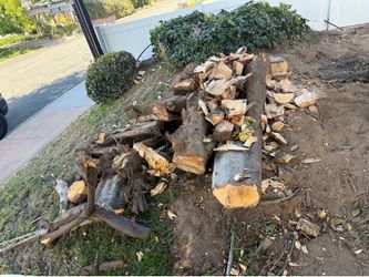 Free fire wood