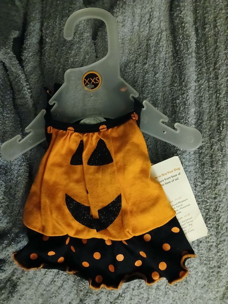 Dog Costume