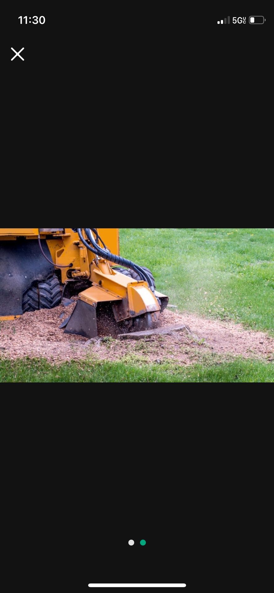 Stump Grinding