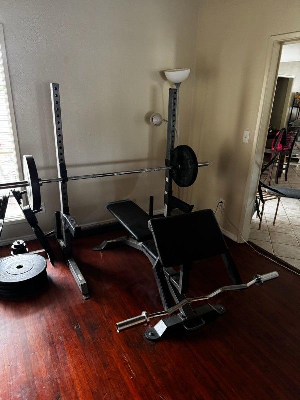 Bench Press Full Set Weights Bars