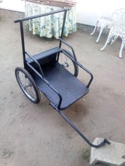 Custom bike trailer